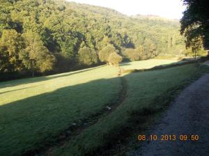 1008 El green_1642x1231