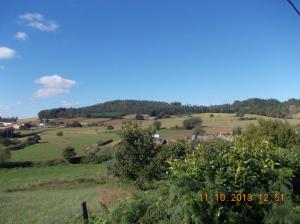 1011 Boinas de bosque_1642x1231